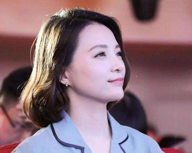 明星潜则董卿小说