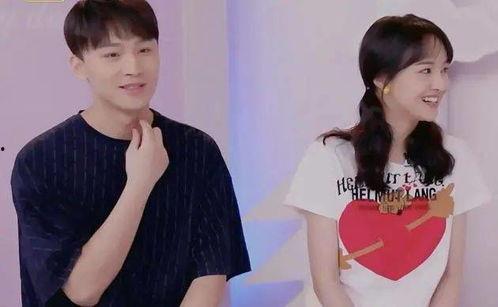 张恒郑爽资料,揭秘娱乐圈的恋情纠葛与情感真相